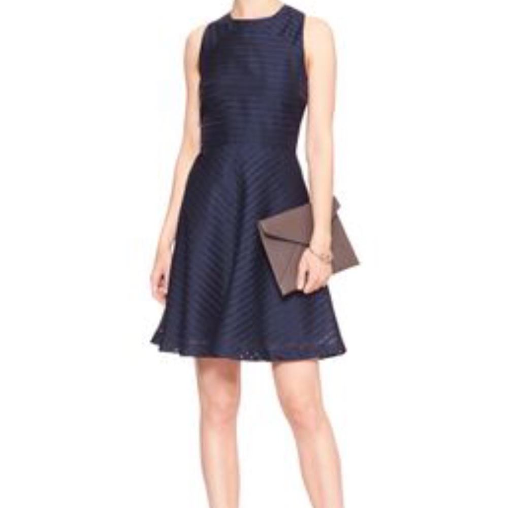 Banana Republic Sheer Stripe Fit and Flare Dress